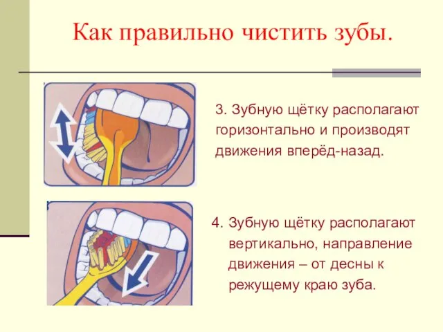 Как правильно чистить зубы. 3. Зубную щётку располагают горизонтально и производят движения