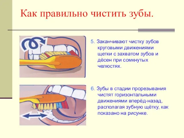 Как правильно чистить зубы. 5. Заканчивают чистку зубов круговыми движениями щетки с