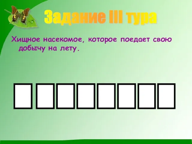 Задание III тура Хищное насекомое, которое поедает свою добычу на лету.