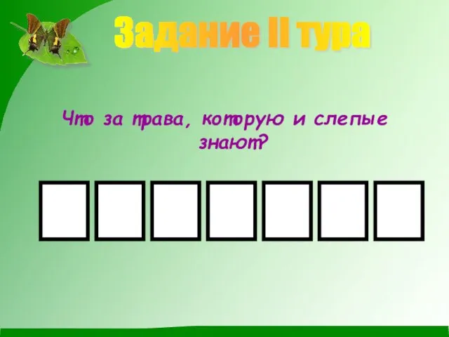 Что за трава, которую и слепые знают? Задание II тура