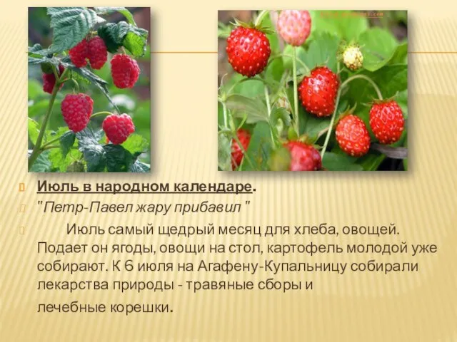 Июль в народном календаре. "Петр-Павел жару прибавил " Июль самый щедрый месяц