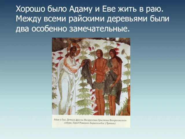 Хорошо было Адаму и Еве жить в раю. Между всеми райскими деревьями были два особенно замечательные.