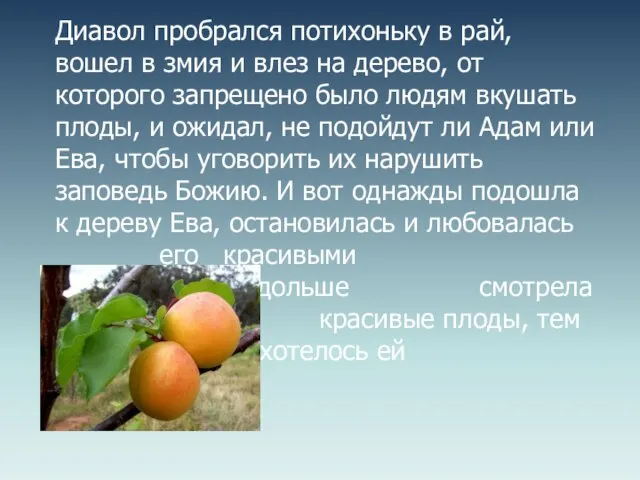 Диавол пробрался потихоньку в рай, вошел в змия и влез на дерево,