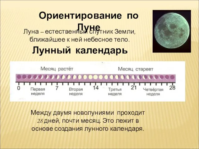 Ориентирование по Луне Луна – естественный спутник Земли, ближайшее к ней небесное