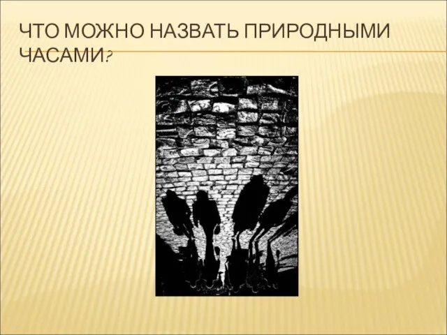 ЧТО МОЖНО НАЗВАТЬ ПРИРОДНЫМИ ЧАСАМИ?