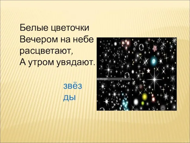 Белые цветочки Вечером на небе расцветают, А утром увядают. звёзды