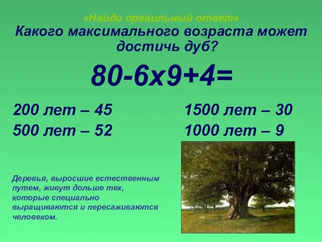 «Найди правильный ответ» Какого максимального возраста может достичь дуб? 80-6х9+4= 200 лет