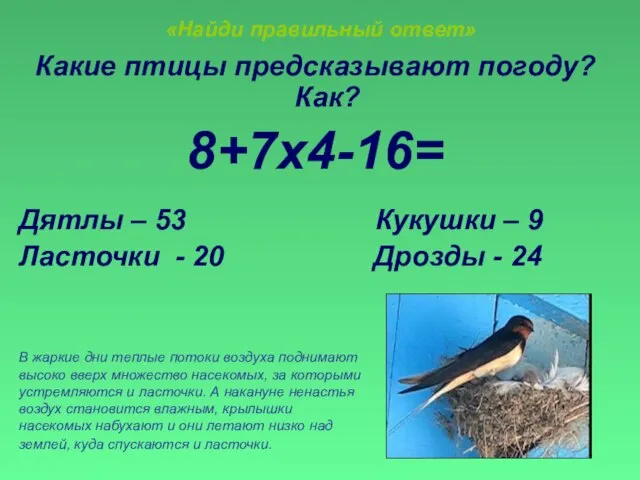 «Найди правильный ответ» Какие птицы предсказывают погоду? Как? 8+7х4-16= Дятлы – 53