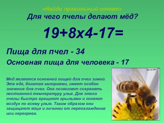«Найди правильный ответ» Для чего пчелы делают мёд? 19+8х4-17= Пища для пчел