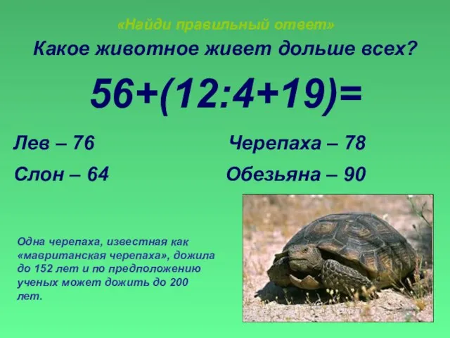 «Найди правильный ответ» Какое животное живет дольше всех? 56+(12:4+19)= Лев – 76