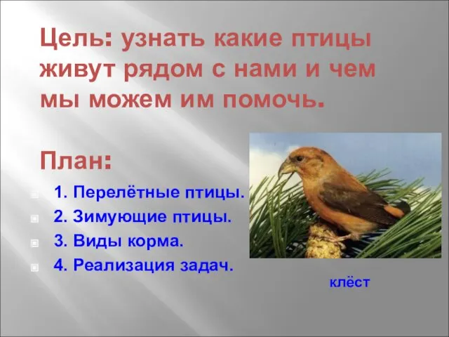 Цель: узнать какие птицы живут рядом с нами и чем мы можем