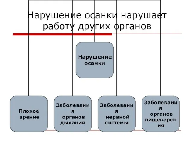 Нарушение осанки нарушает работу других органов