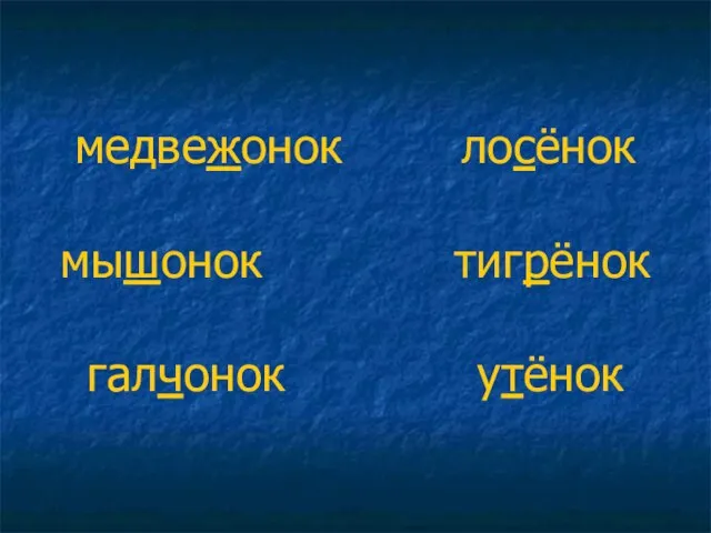 медвежонок лосёнок мышонок тигрёнок галчонок утёнок