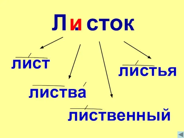 Л . сток листва лист листья лиственный и