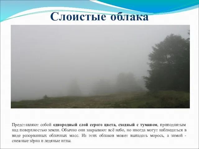 Слоистые облака Представляют собой однородный слой серого цвета, сходный с туманом, приподнятым