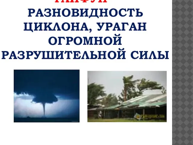 ТАЙФУН – РАЗНОВИДНОСТЬ ЦИКЛОНА, УРАГАН ОГРОМНОЙ РАЗРУШИТЕЛЬНОЙ СИЛЫ