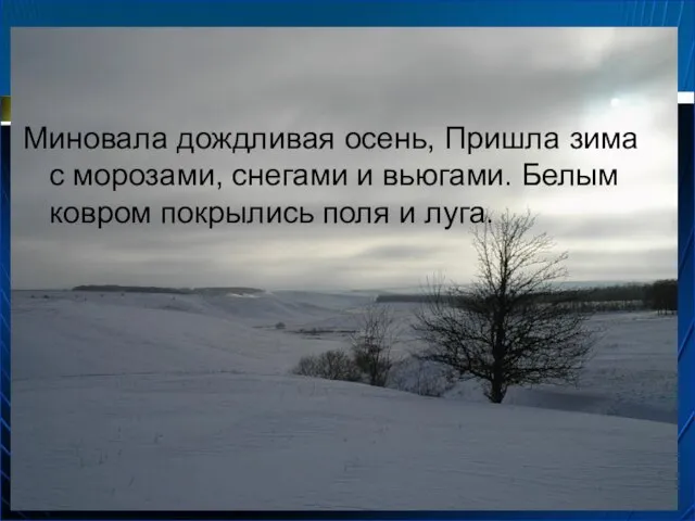 Миновала дождливая осень, Пришла зима с морозами, снегами и вьюгами. Белым ковром покрылись поля и луга.