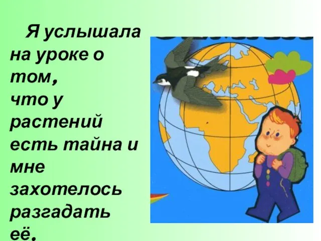 Я услышала на уроке о том, что у растений есть тайна и мне захотелось разгадать её.