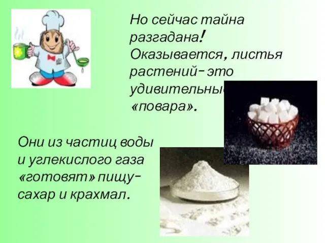 Но сейчас тайна разгадана! Оказывается, листья растений- это удивительные «повара». Они из