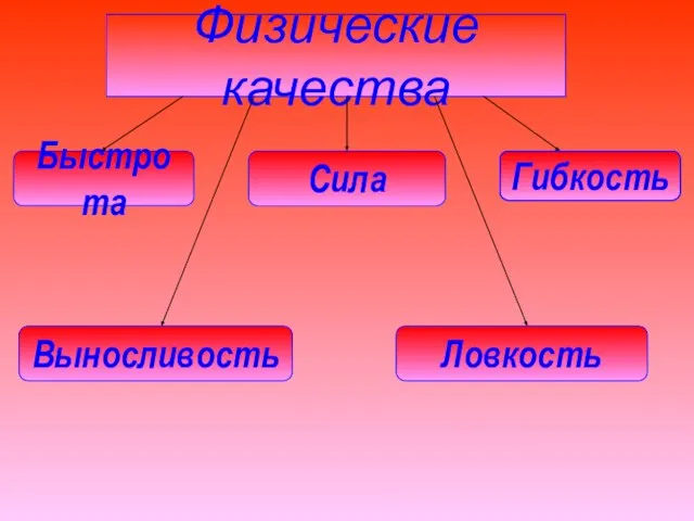 Физические качества Быстрота Сила Гибкость Выносливость Ловкость