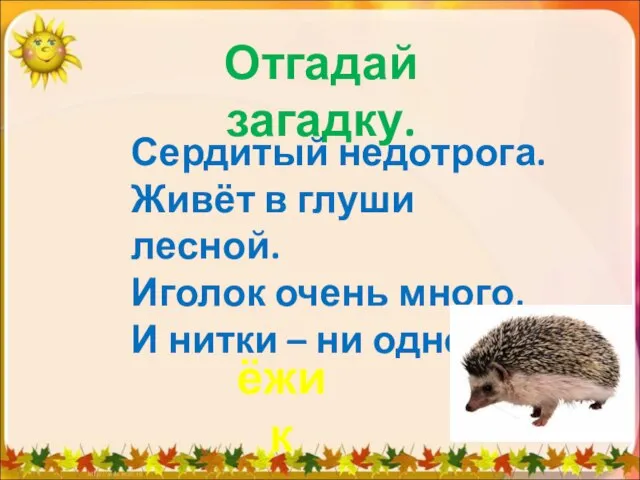 Отгадай загадку. Сердитый недотрога. Живёт в глуши лесной. Иголок очень много, И