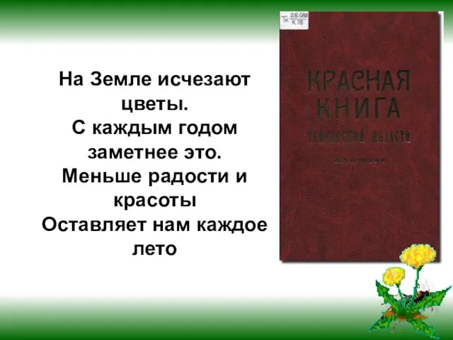 На Земле исчезают цветы. С каждым годом заметнее это. Меньше радости и