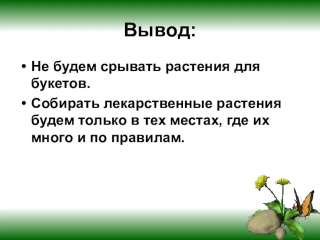 Вывод: Не будем срывать растения для букетов. Собирать лекарственные растения будем только