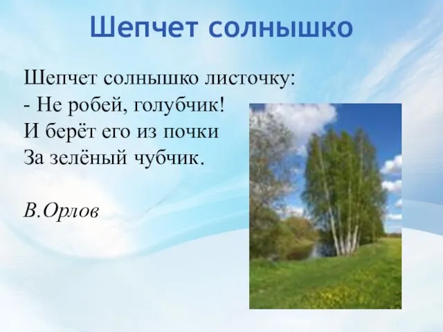 Шепчет солнышко Шепчет солнышко листочку: - Не робей, голубчик! И берёт его