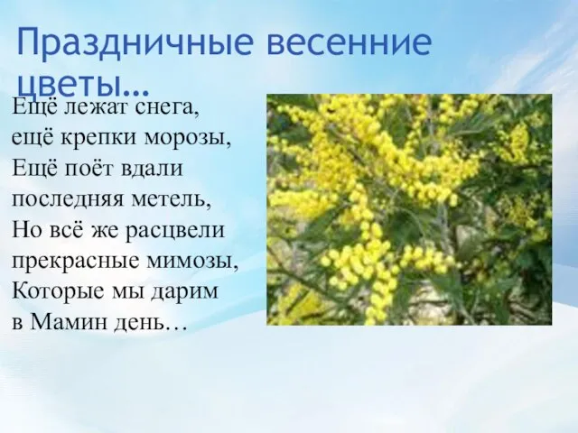 Праздничные весенние цветы… Ещё лежат снега, ещё крепки морозы, Ещё поёт вдали