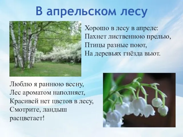 В апрельском лесу Хорошо в лесу в апреле: Пахнет лиственною прелью, Птицы