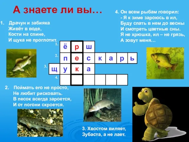 3. Хвостом виляет, Зубаста, а не лает. Драчун и забияка Живёт в