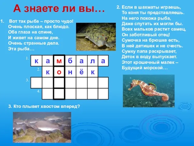 3. Кто плывет хвостом вперед? Вот так рыба – просто чудо! Очень