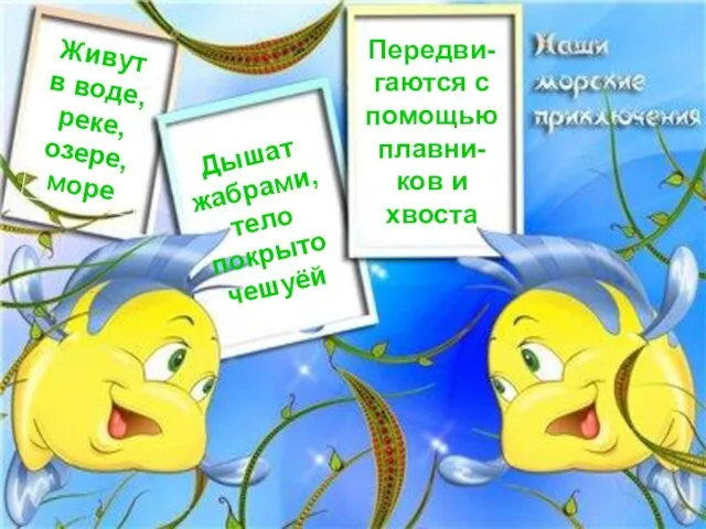 Живут в воде, реке, озере, море Дышат жабрами, тело покрыто чешуёй Передви-гаются