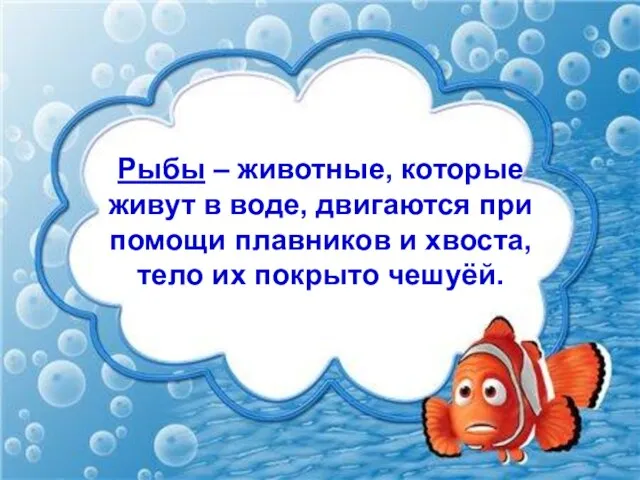 Рыбы – животные, которые живут в воде, двигаются при помощи плавников и