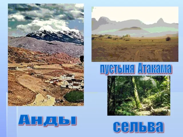 Анды пустыня Атакама сельва