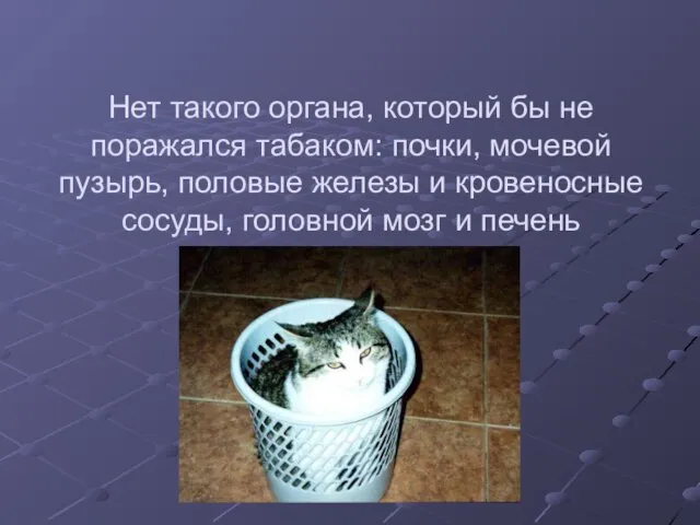 Нет такого органа, который бы не поражался табаком: почки, мочевой пузырь, половые