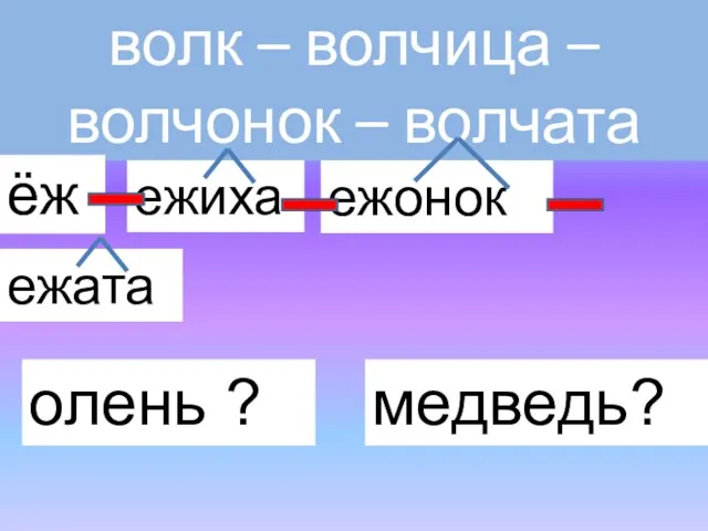 волк – волчица – волчонок – волчата ёж ежиха ежонок ежата олень ? медведь?