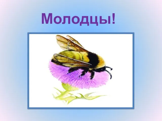 Молодцы!