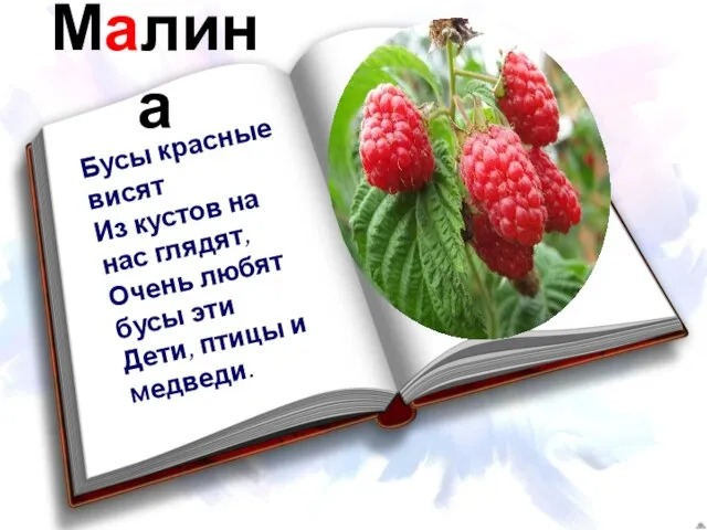 Малина Бусы красные висят Из кустов на нас глядят, Очень любят бусы