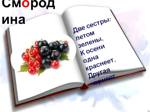 Смородина Две сестры: летом зелены, К осени одна краснеет, Другая чернеет.