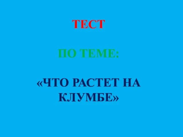 ТЕСТ ПО ТЕМЕ: «ЧТО РАСТЕТ НА КЛУМБЕ»