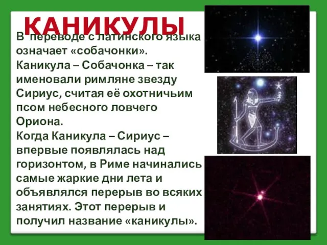 КАНИКУЛЫ В переводе с латинского языка означает «собачонки». Каникула – Собачонка –