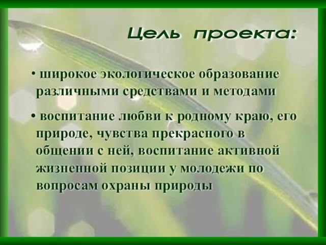 широкое экологическое образование различными средствами и методами воспитание любви к родному краю,