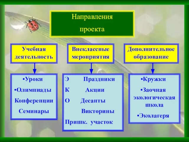 Направления проекта Внеклассные мероприятия Учебная деятельность Дополнительное образование Уроки Олимпиады Конференции Семинары