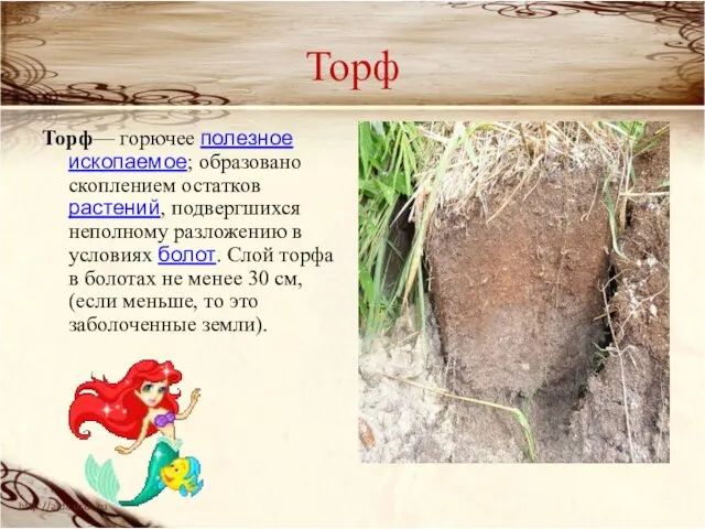 Торф Торф— горючее полезное ископаемое; образовано скоплением остатков растений, подвергшихся неполному разложению