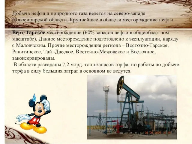 Добыча нефти и природного газа ведется на северо-западе Новосибирской области. Крупнейшее в