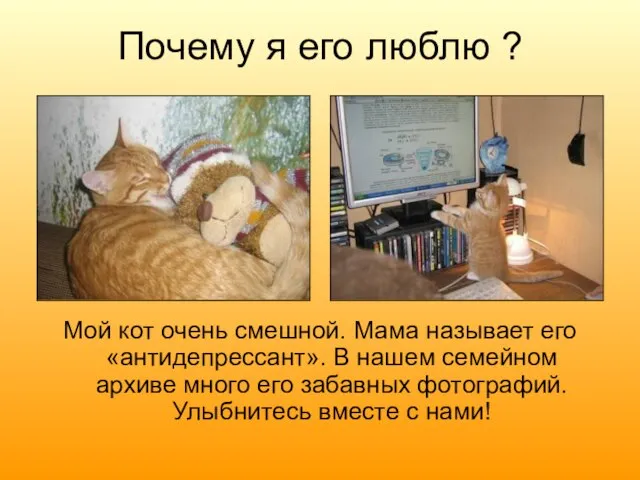 Почему я его люблю ? Мой кот очень смешной. Мама называет его