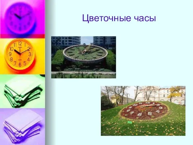 Цветочные часы