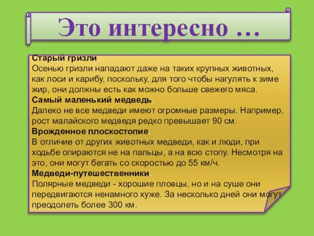 Это интересно … Старый гризли. Осенью гризли нападают даже на таких крупных