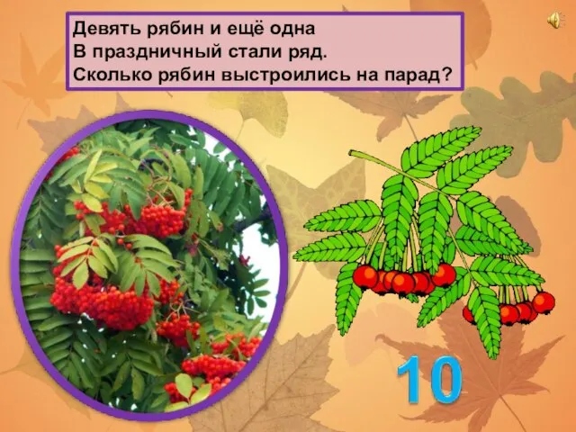 Девять рябин и ещё одна В праздничный стали ряд. Сколько рябин выстроились на парад?